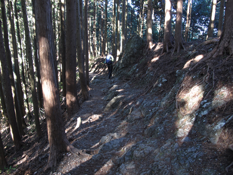 20151127hike (227)